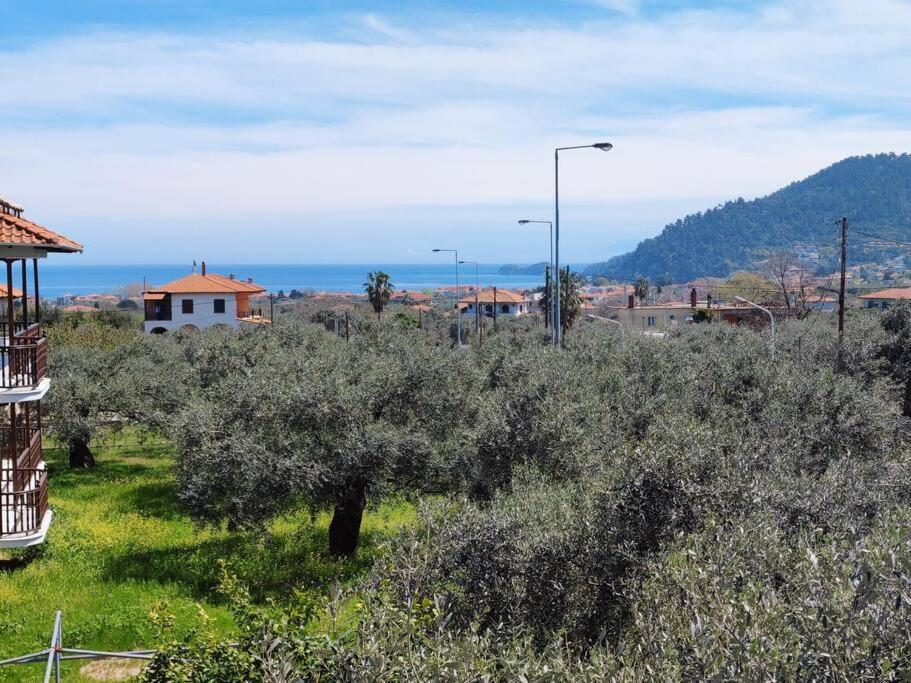 Вила Елена-Villa Elena 1 Skala Potamia  Buitenkant foto