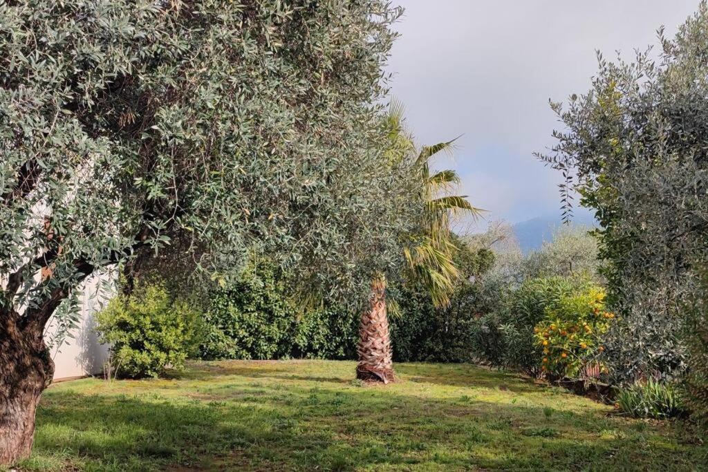 Вила Елена-Villa Elena 1 Skala Potamia  Buitenkant foto