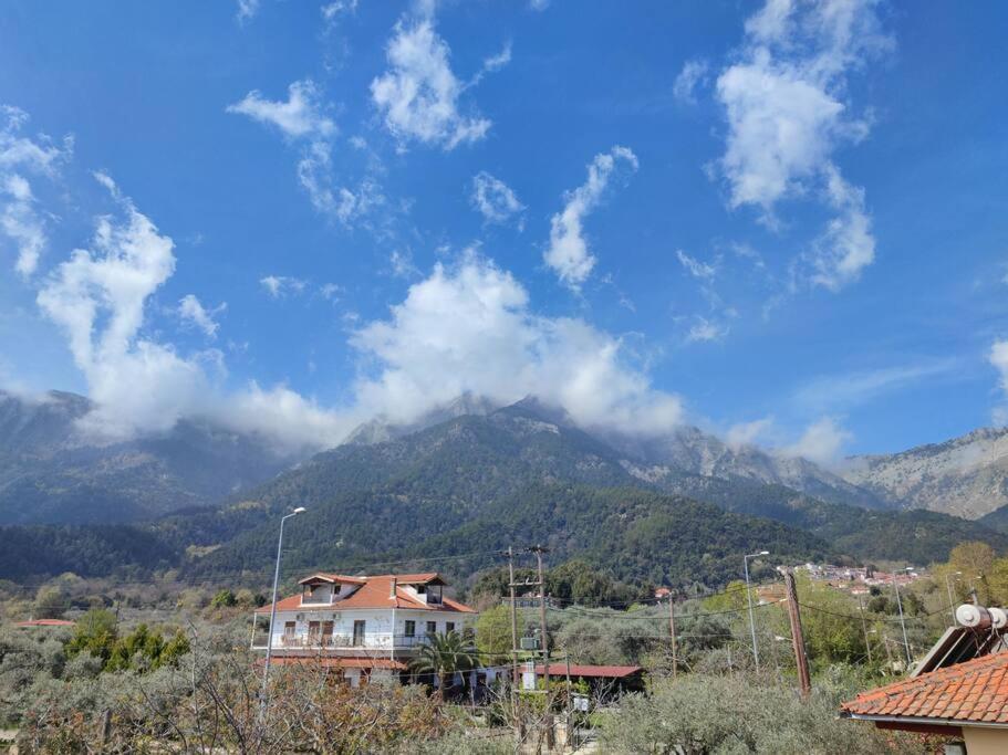 Вила Елена-Villa Elena 1 Skala Potamia  Buitenkant foto